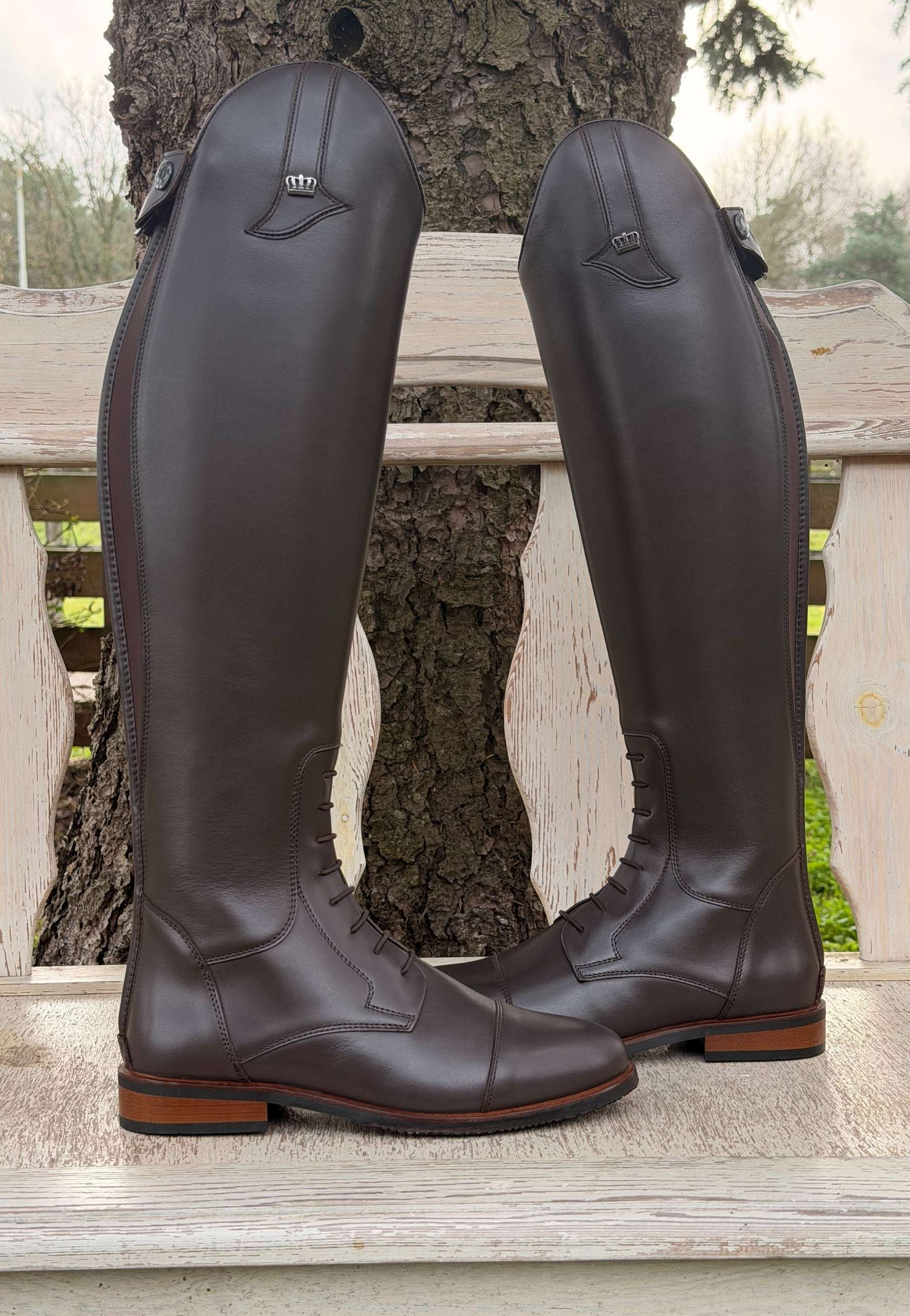 Kingsley Aspen